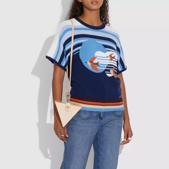 Coach City Blocks Triangle Bag C0304 NWT Limited Edition - Picture 10 of 10